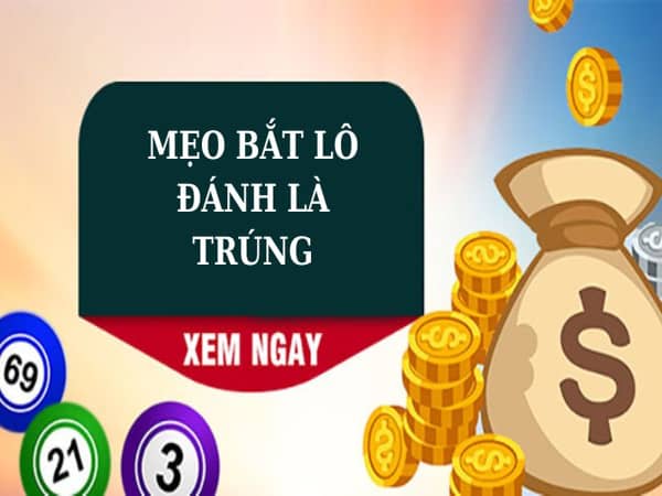 Bật mí mẹo bắt con đánh là trúng cho tân thủ