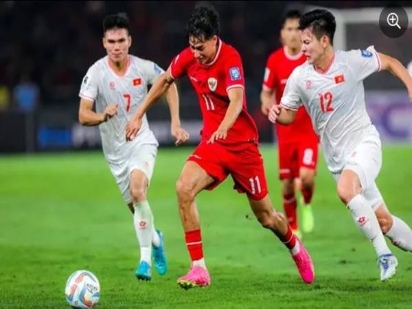 Thành tích của đội tuyển Indonesia ở các kỳ AFF Cup