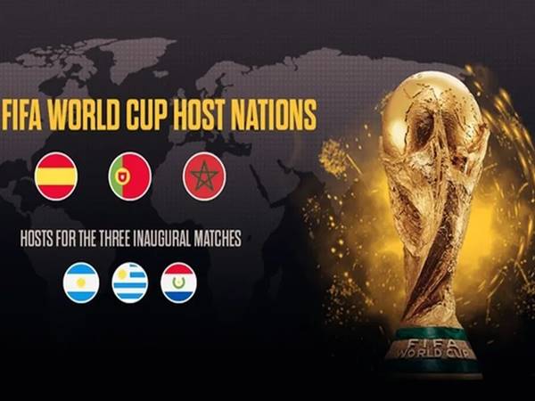 World Cup có mấy vòng loại? Cấu trúc và thể thức chi tiết